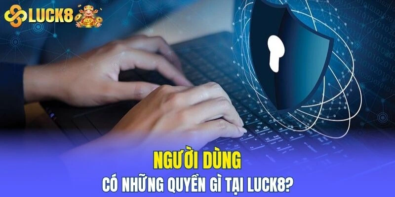 Người dùng có những quyền gì tại nền tảng?