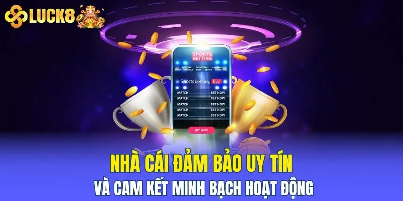 Nhà cái đảm bảo uy tín và cam kết minh bạch hoạt động