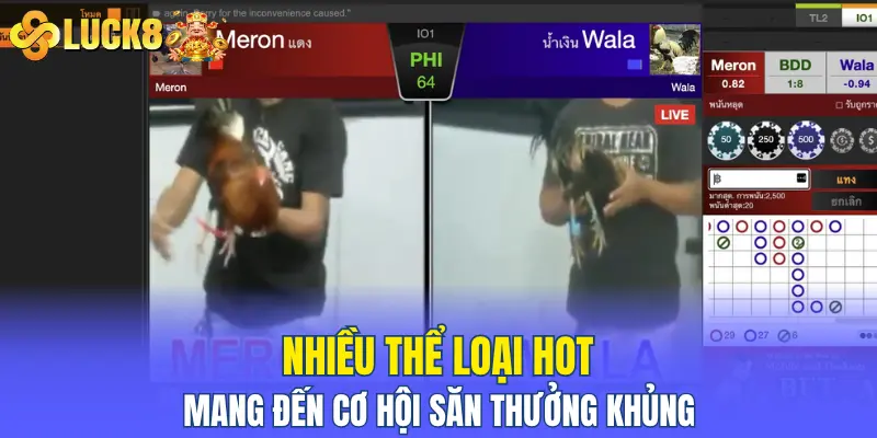 Nhiều thể loại hot, mang đến cơ hội săn thưởng khủng