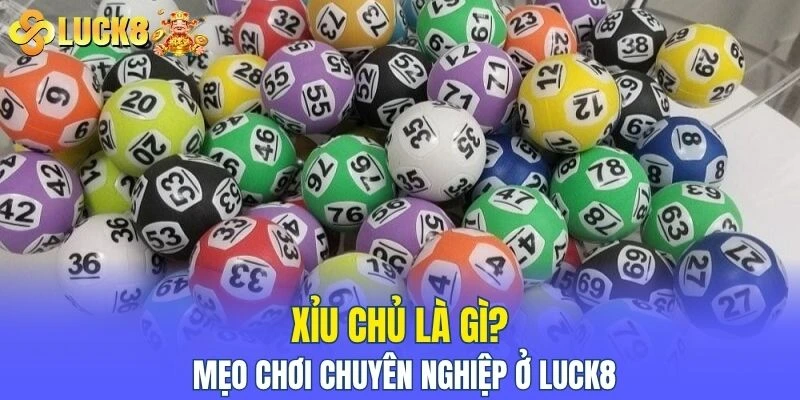 xỉu chủ là gì
